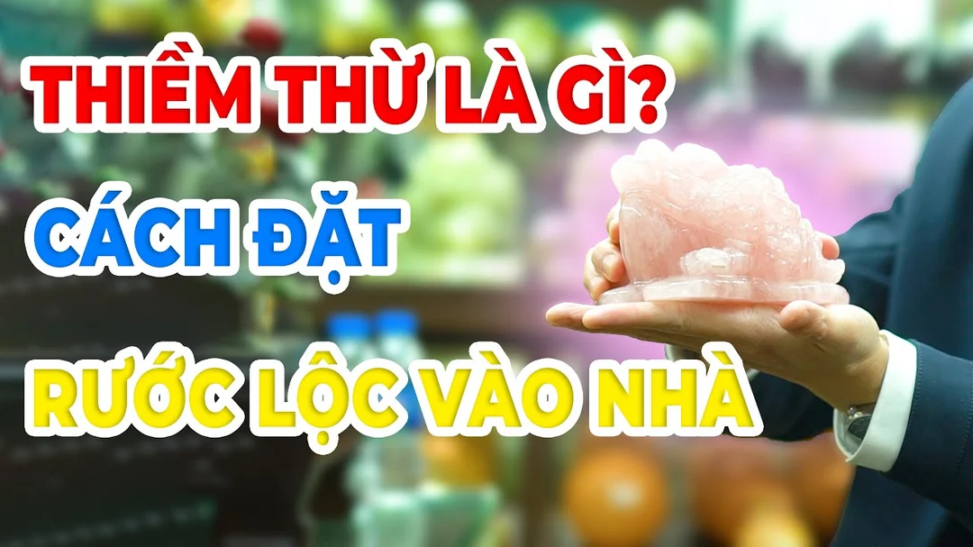 Video hướng dẫn đặt thiềm thừ đúng phong thủy