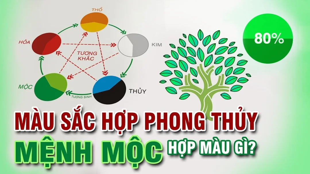 Video mệnh Mộc hợp màu gì và kỵ màu gì