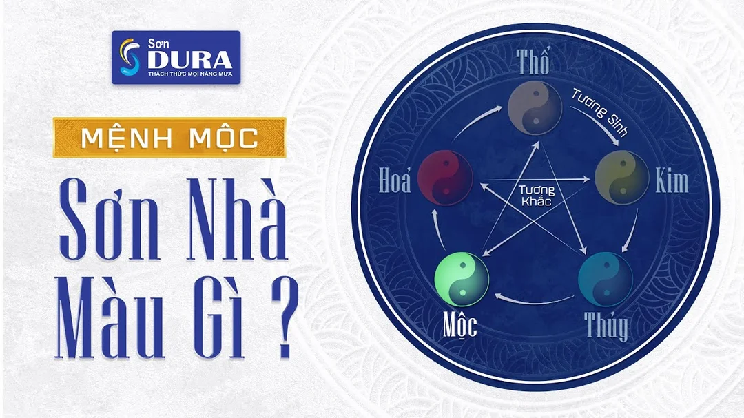 Video mệnh Mộc sơn nhà màu gì hợp phong thủy
