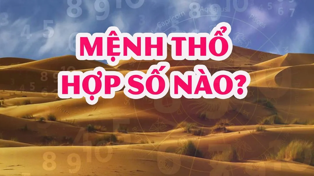 Video mệnh Thổ hợp số mấy