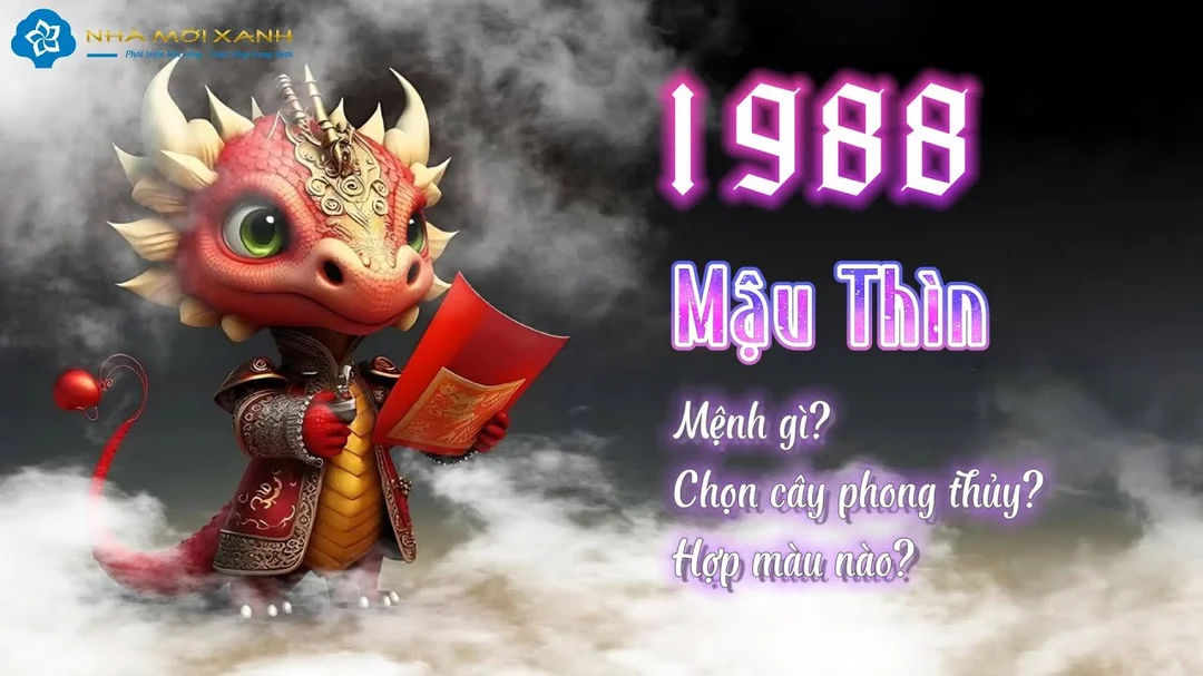 Video người sinh năm 1988 hợp cây gì màu gì phong thủy Mậu Thìn