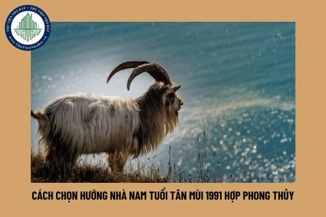 Xem năm 2026 cho phong thủy nhà ở tuổi Tân Mùi Xem năm 2026 cho phong thủy nhà ở tuổi Tân Mùi